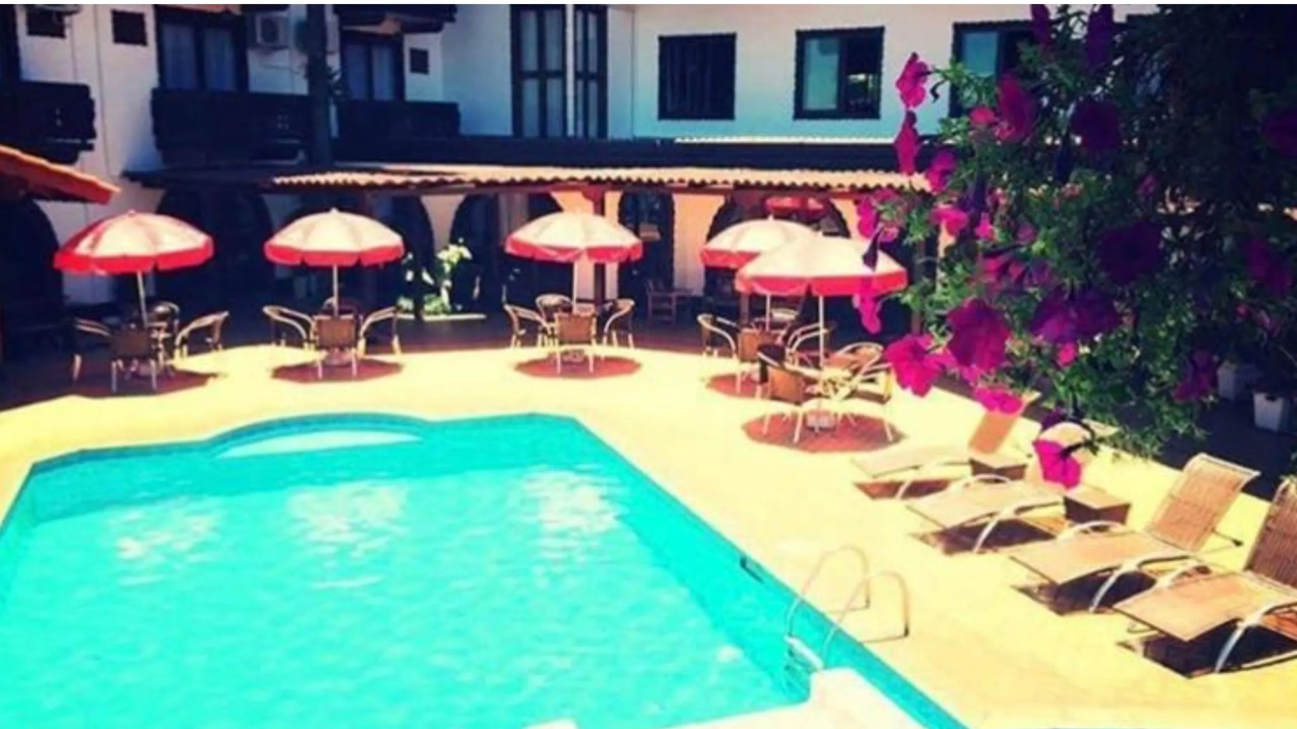 2168370_resize_550_ (2)