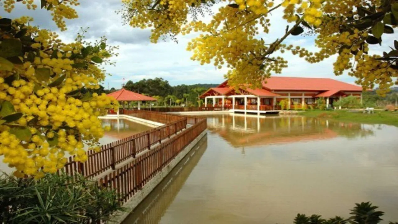 2168370_resize_550_ (3)