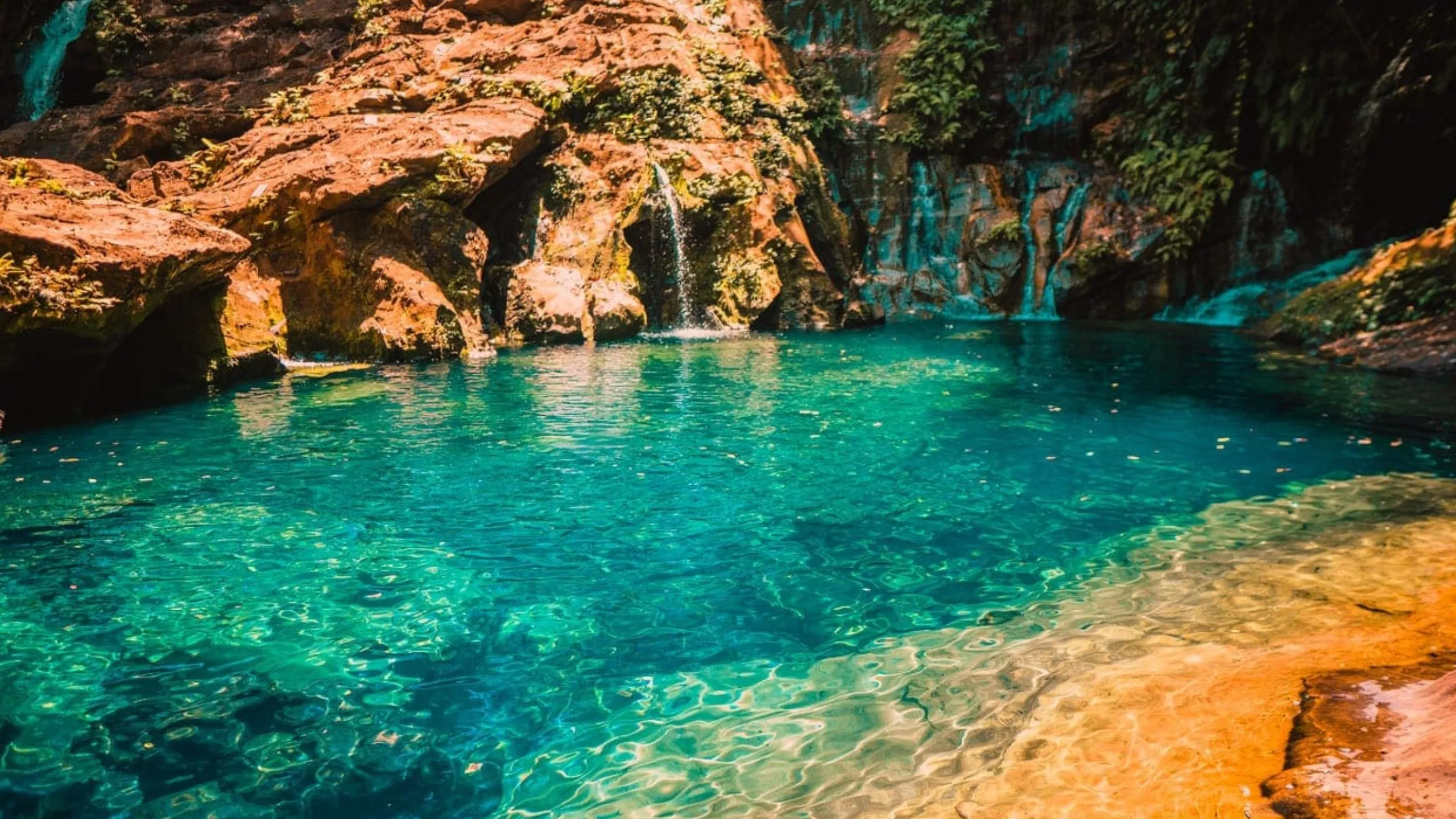 FotoJet-2023-11-21T165209.398-1 (1)