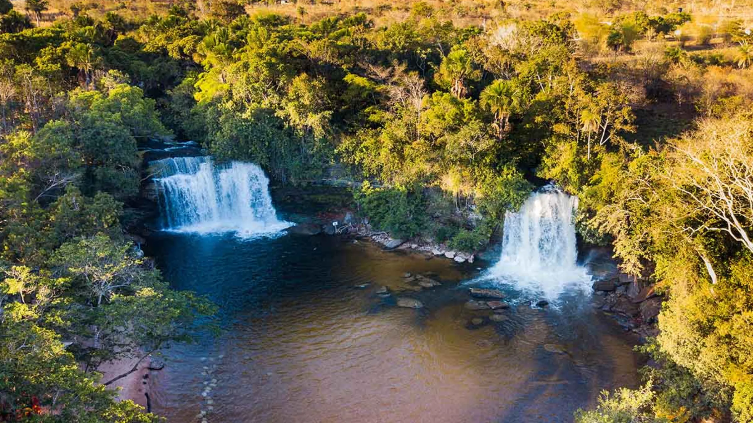 FotoJet-2023-11-21T165209.398-1 (2)