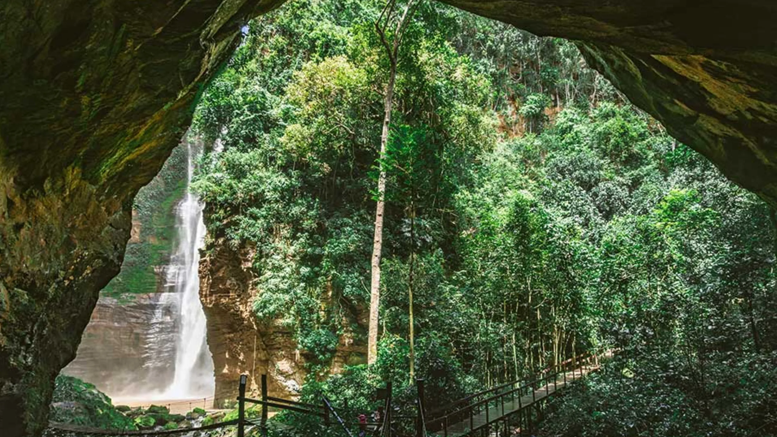 FotoJet-2023-11-21T165209.398-1 (3)