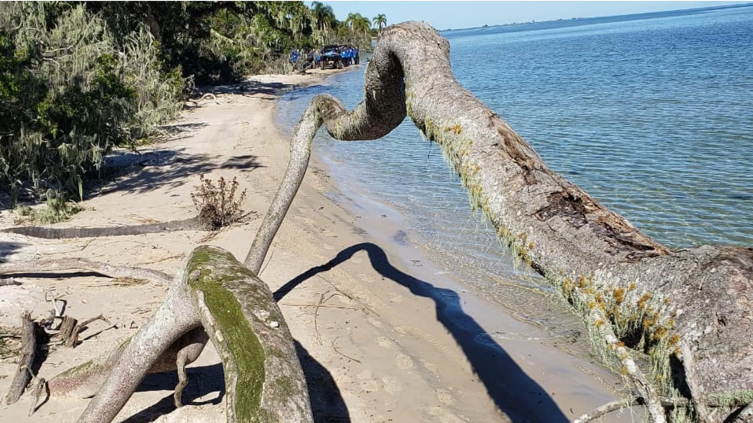 FotoJet-2024-04-05T173024.467 (2)