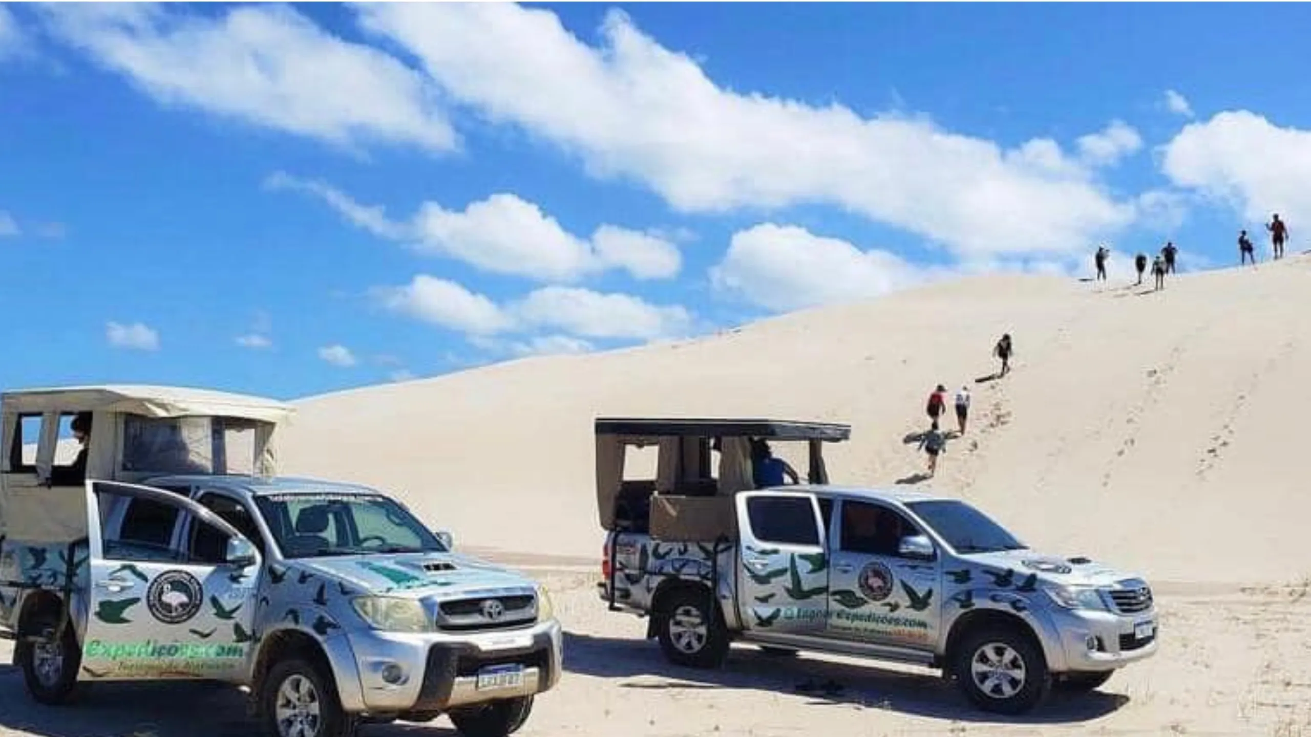 FotoJet-2024-04-05T173024.467 (3)