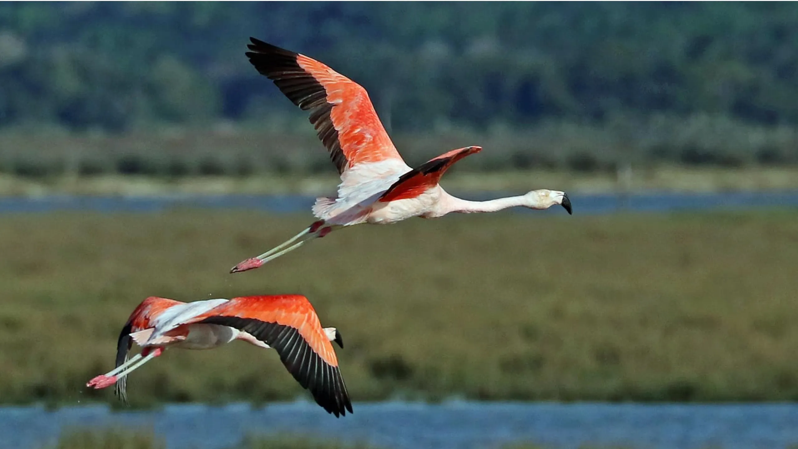 FotoJet-2024-04-05T173024.467 (4)