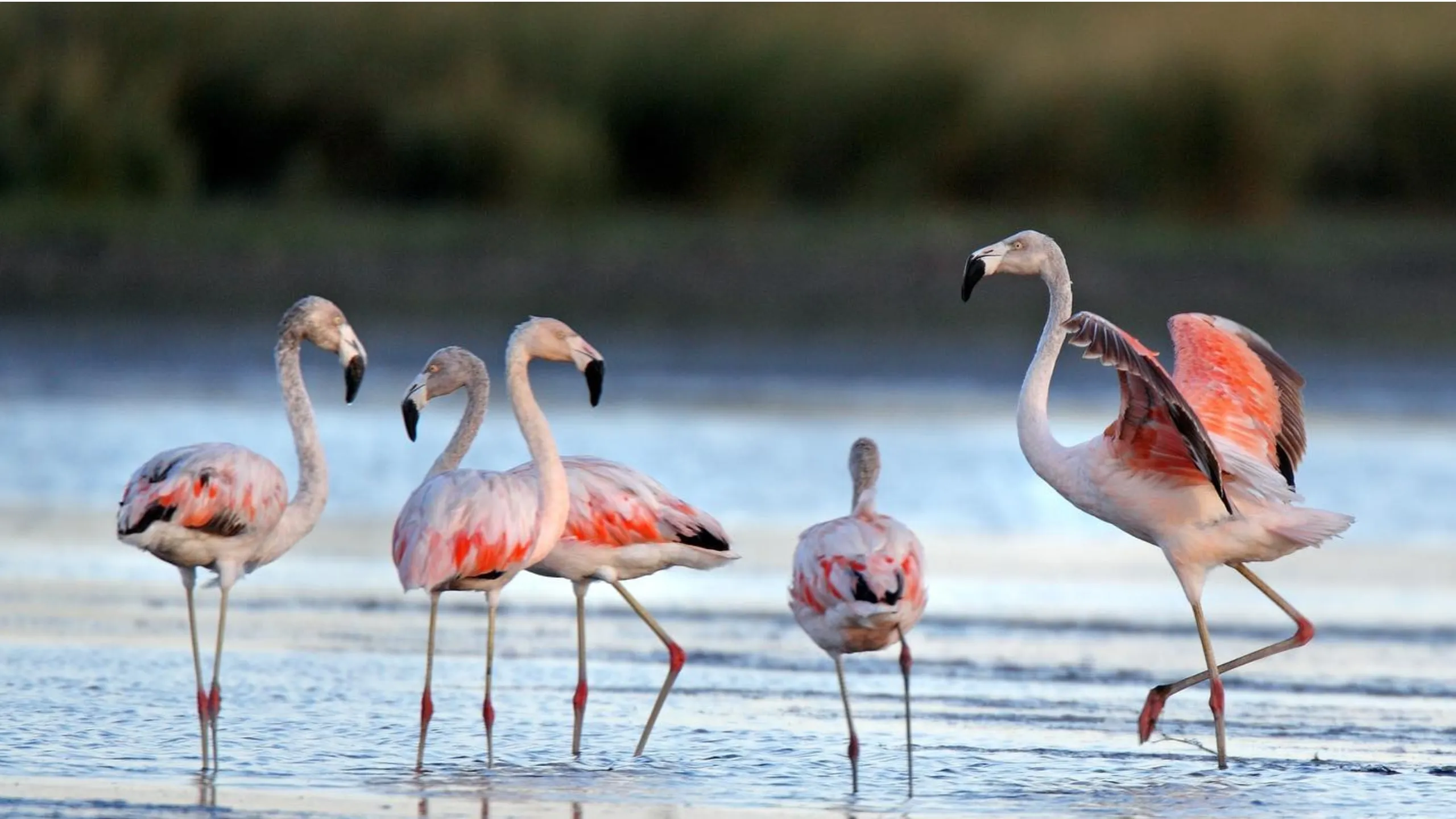 FotoJet-2024-04-05T173024.467