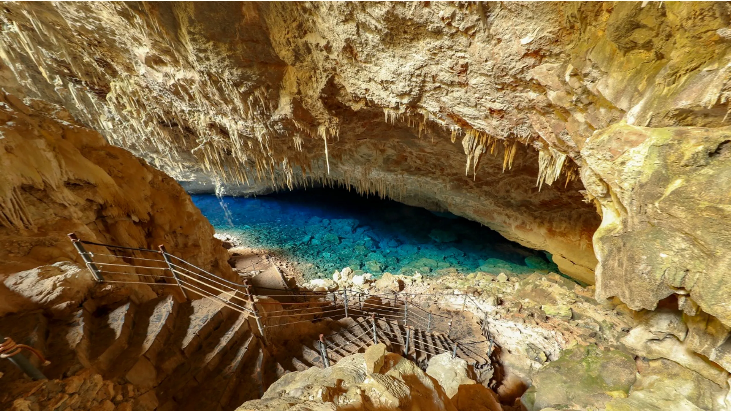 FotoJet-2024-04-05T175124.426