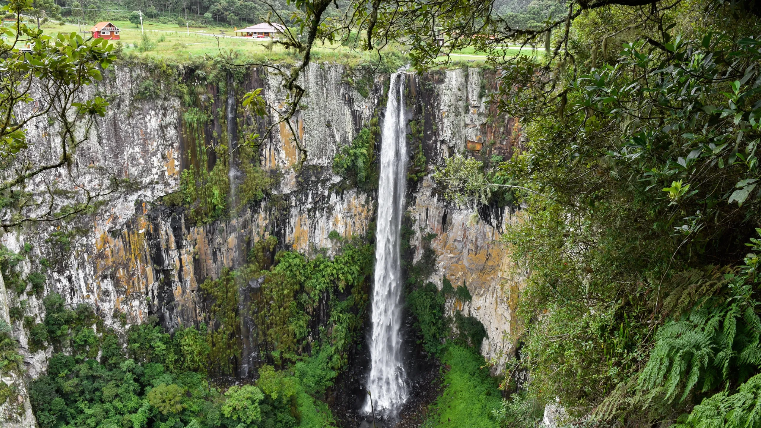 FotoJet-2024-04-06T111856.488 (2)