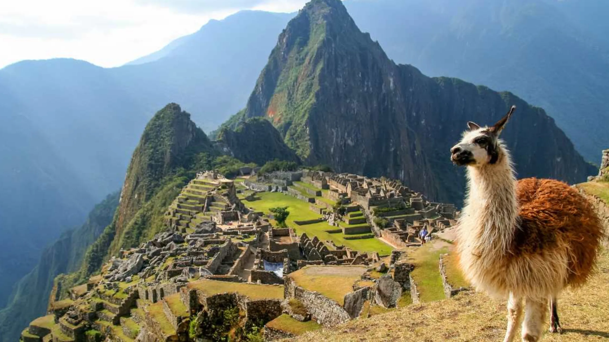 FotoJet-2024-04-06T122651.872