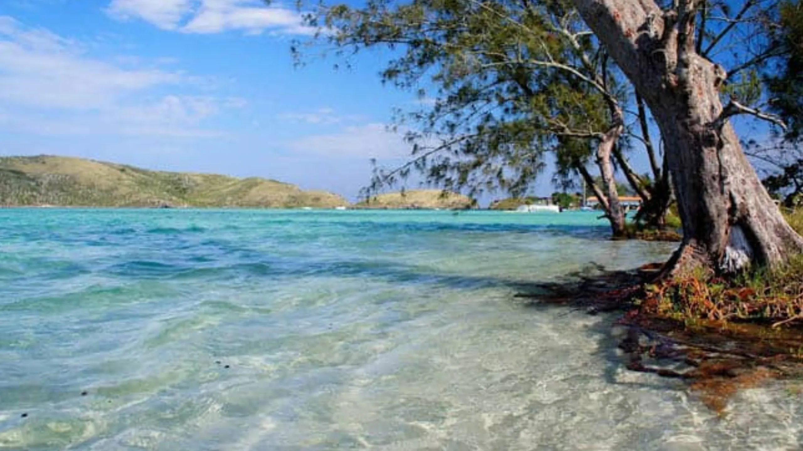 FotoJet-2024-08-28T151459.962 (1)