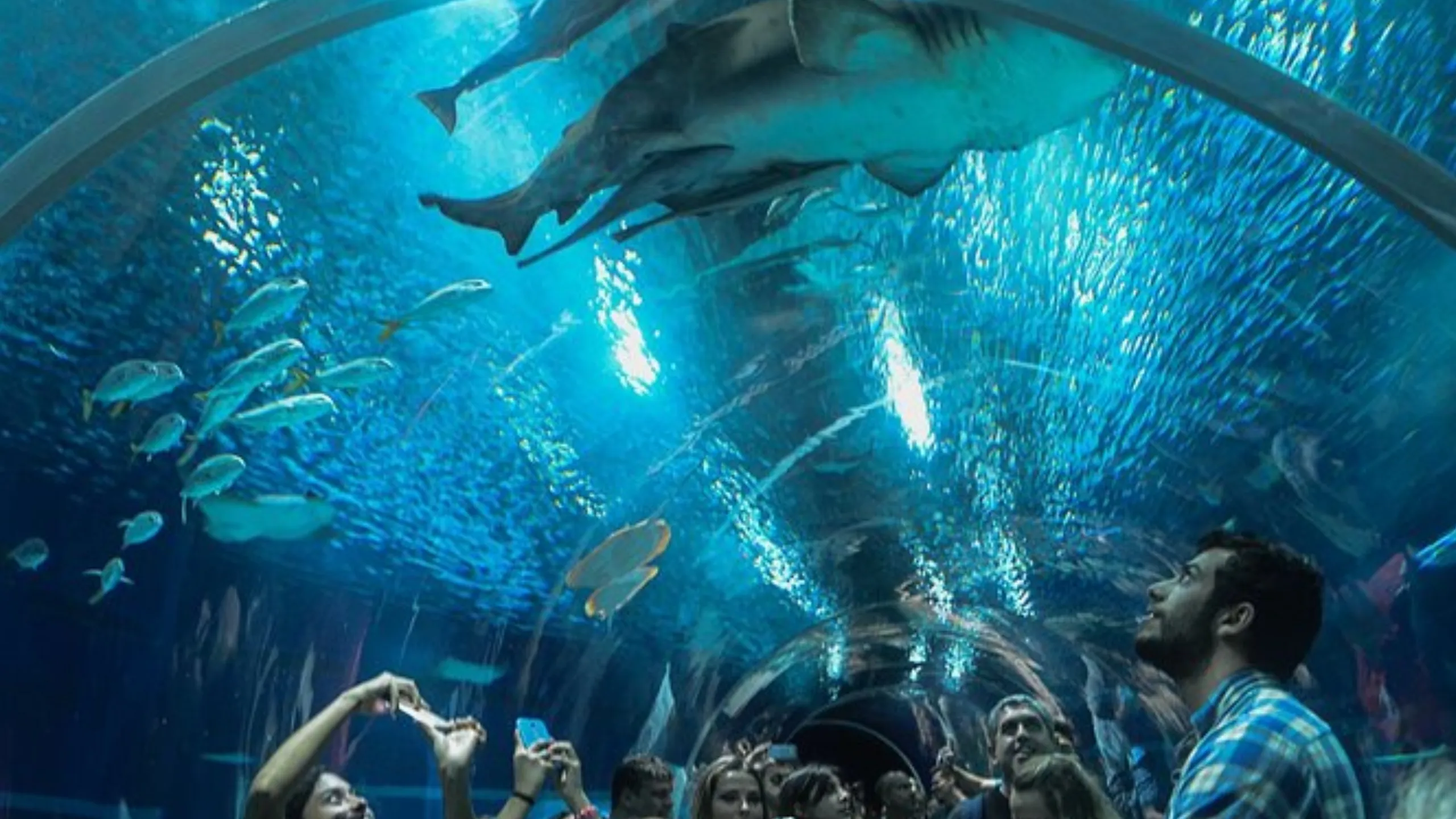 FotoJet-2024-08-28T160149.402 (1)