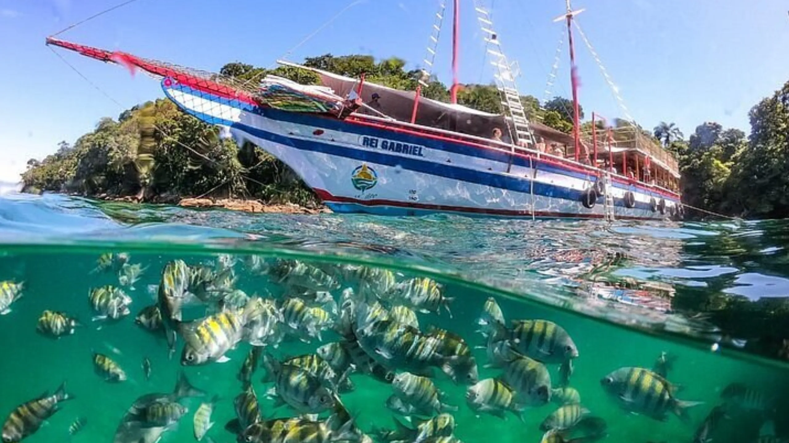 FotoJet-2024-08-28T164159.150 (4)