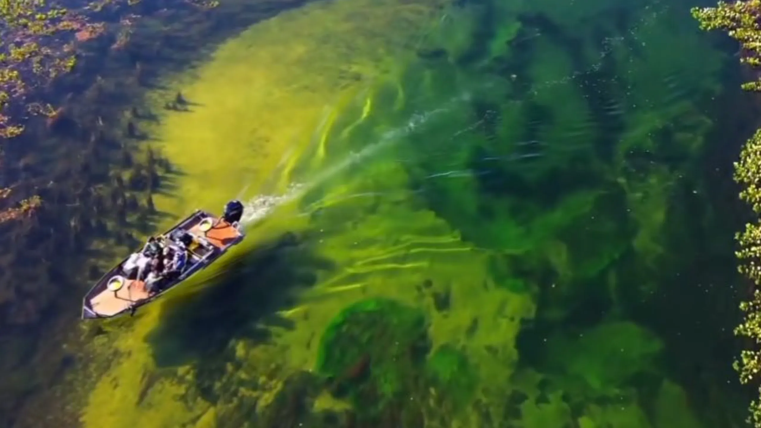 FotoJet-2024-08-28T170710.332 (1)