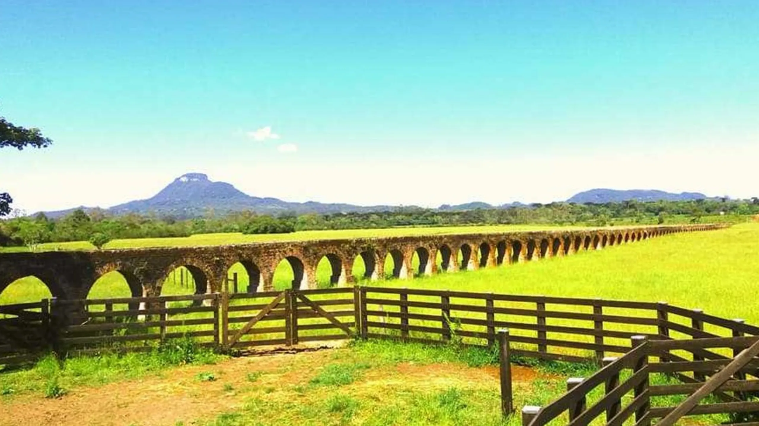 FotoJet-2024-11-21T103028.038 (2)