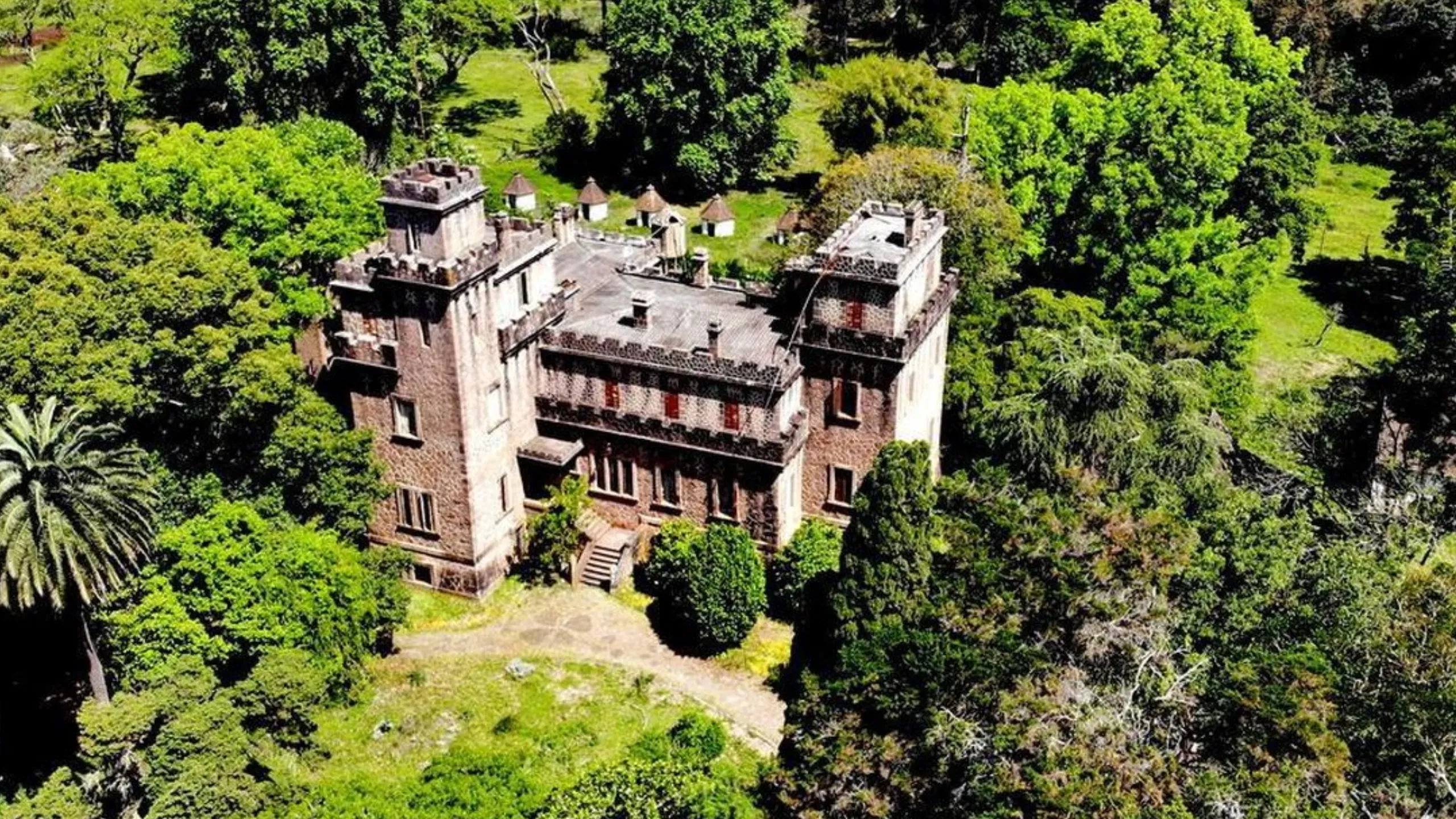 FotoJet-2024-11-21T103028.038 (3)