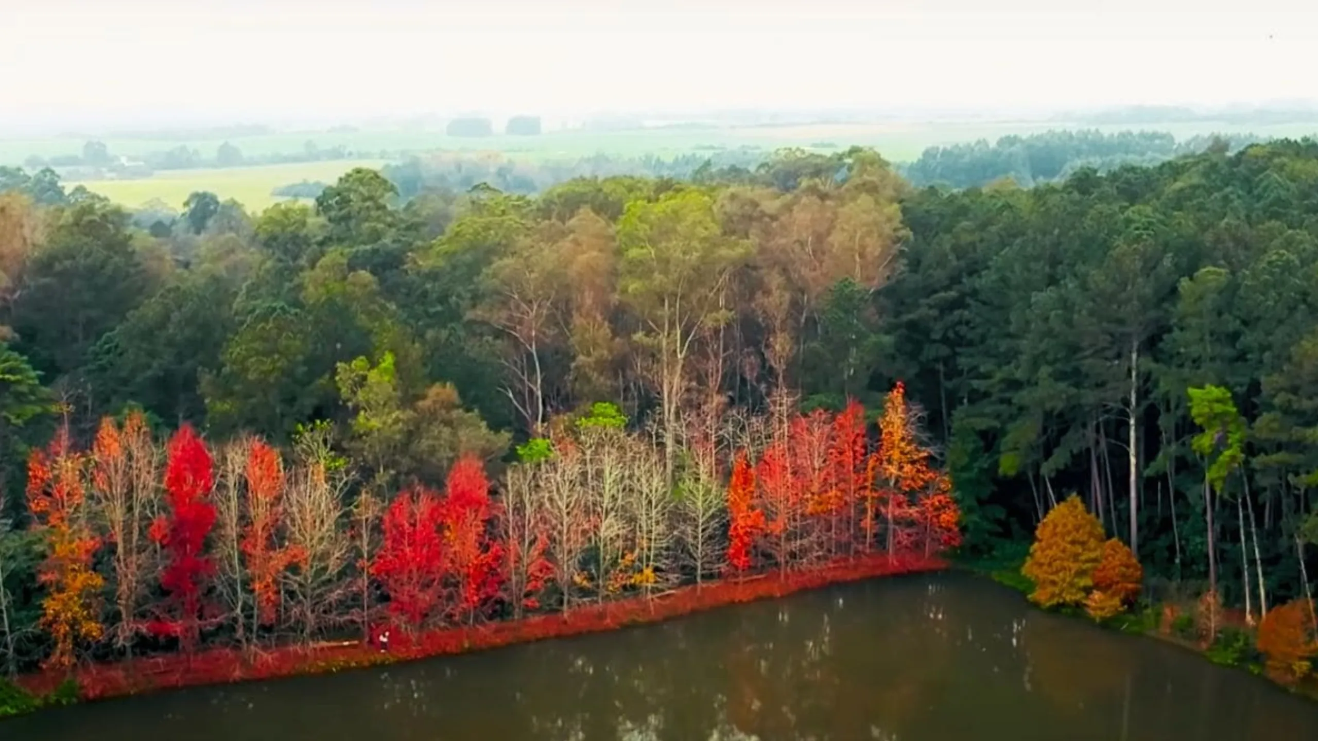 FotoJet-2024-11-21T103028.038