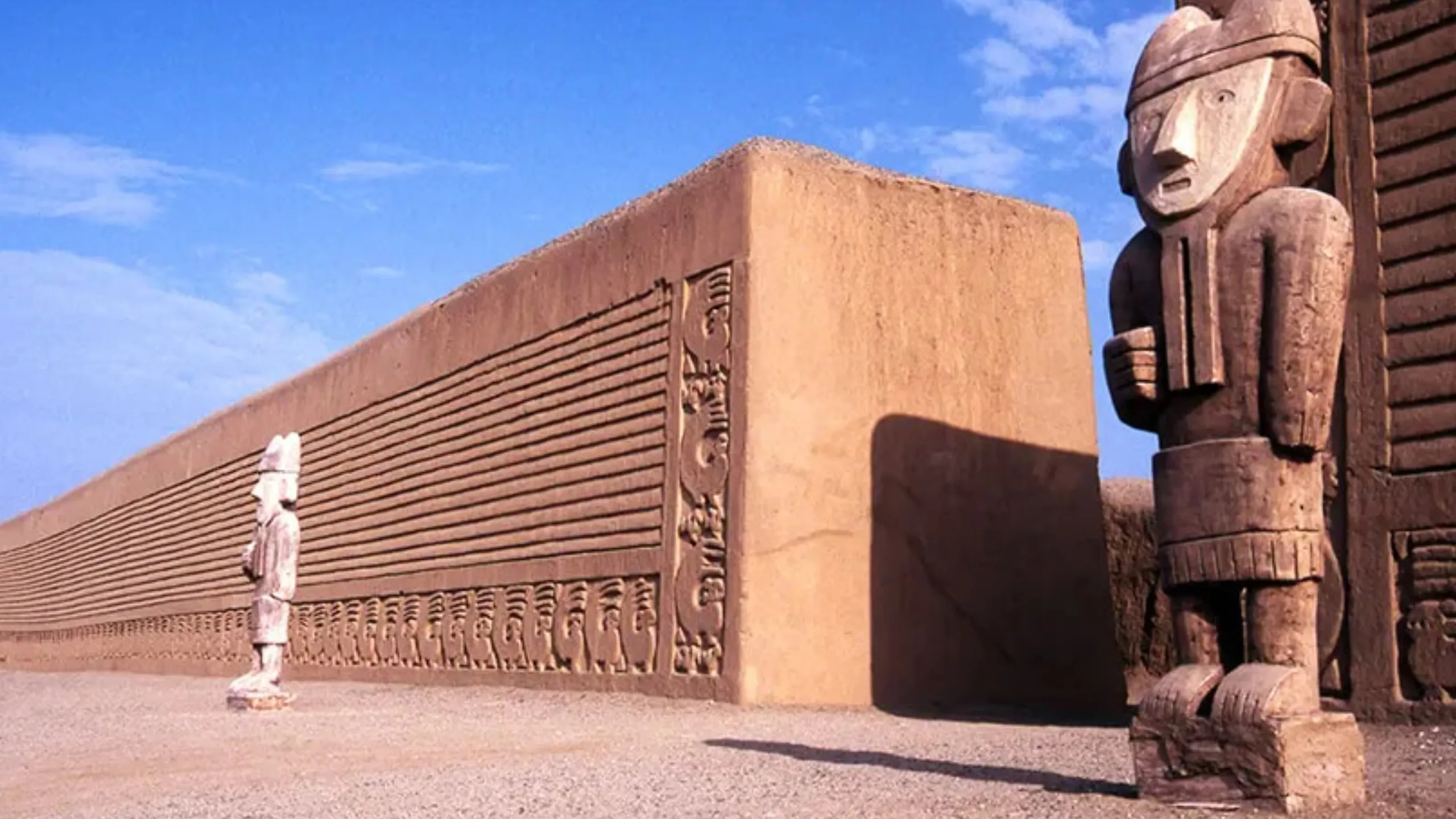 FotoJet-2025-01-29T163022.462 (3)