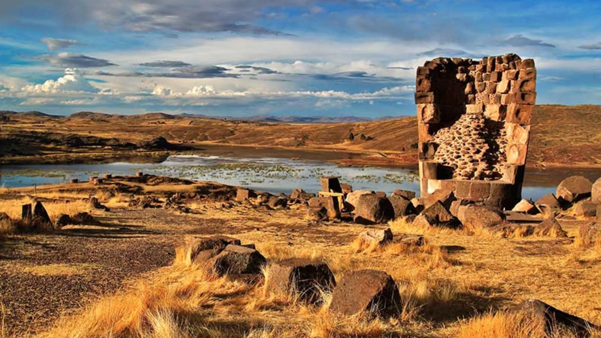 FotoJet-2025-01-29T163022.462