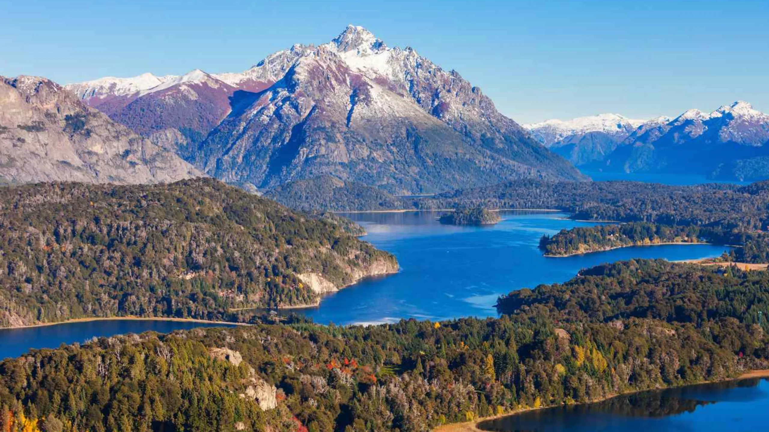 FotoJet-2025-01-29T165414.479 (1)