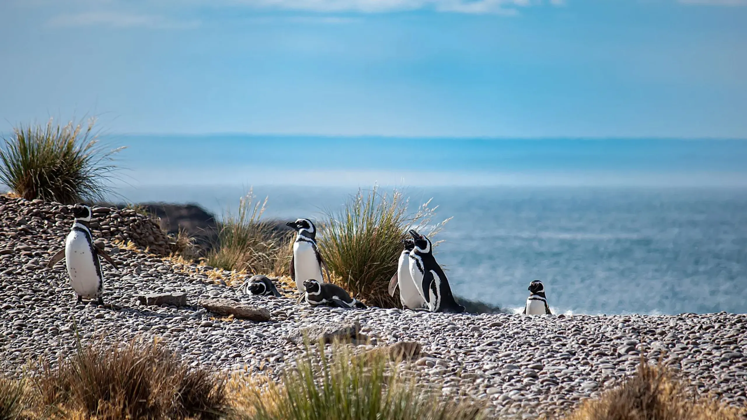 FotoJet-2025-01-29T165414.479 (2)