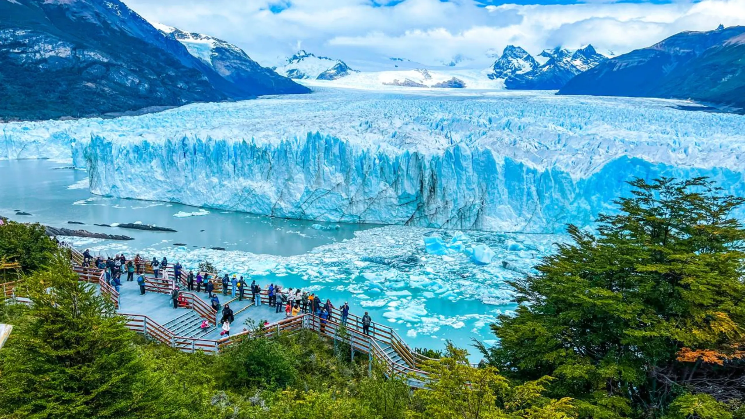 FotoJet-2025-01-29T165414.479 (3)