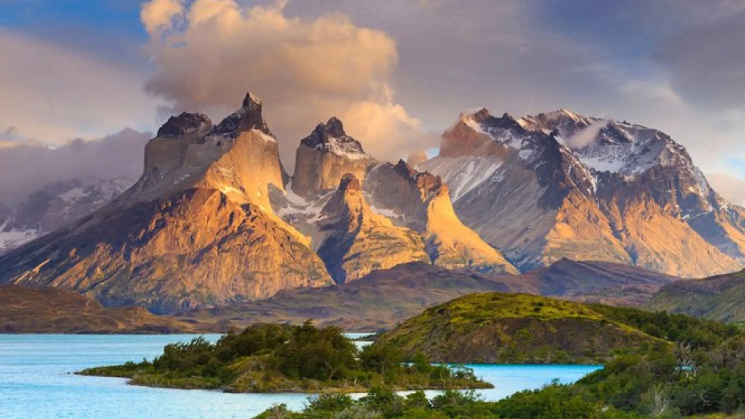 FotoJet-2025-01-29T165414.479