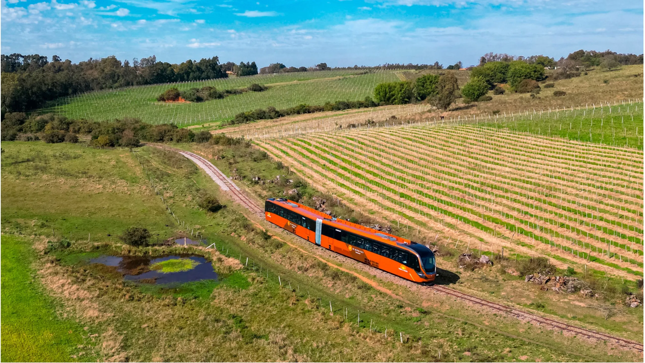 FotoJet-2025-06-06T105244.182 (3)