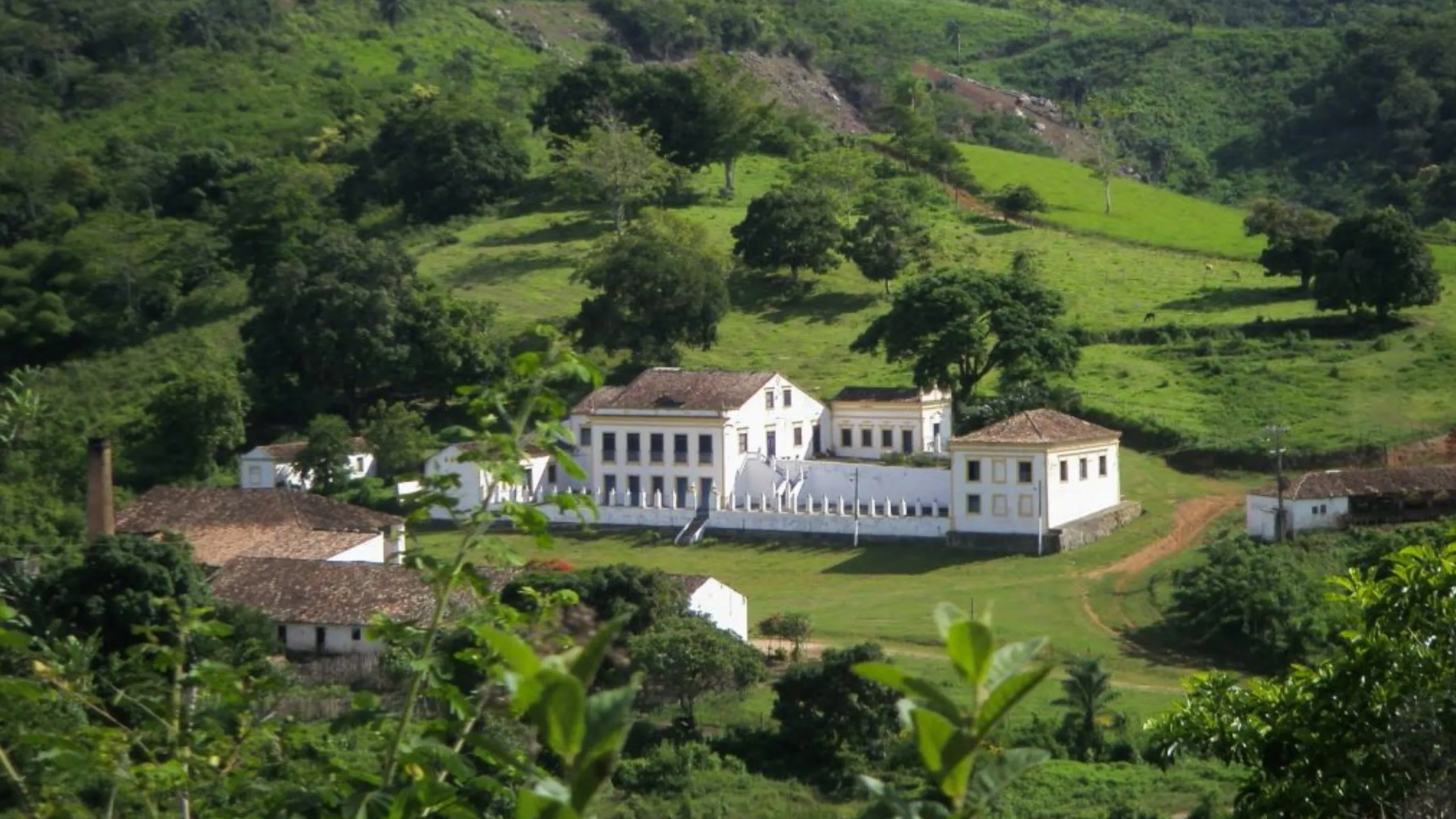 FotoJet-2025-06-08T132254.014 (2)